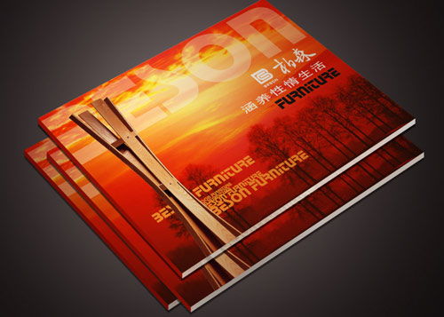 東莞網絡科技畫冊印刷 技術開發與產品宣傳的專業載體